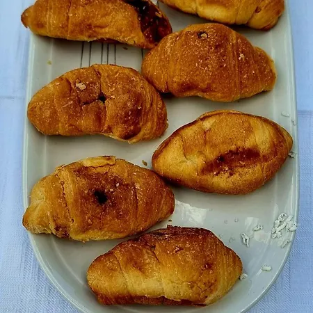 Sanasa Gjirokastra